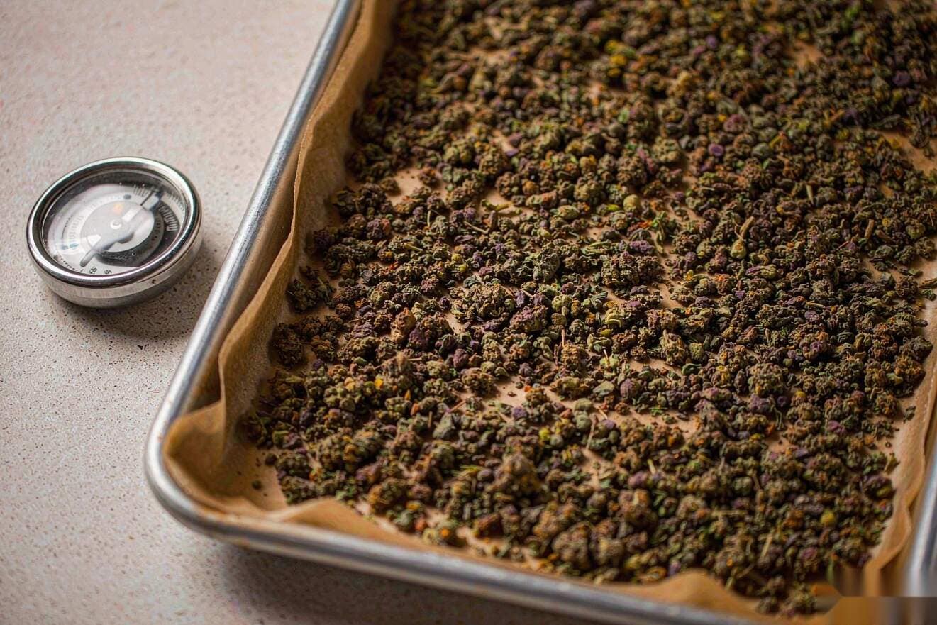 Ground flower in a thin layer on a parchment-lined tray with an oven thermometer