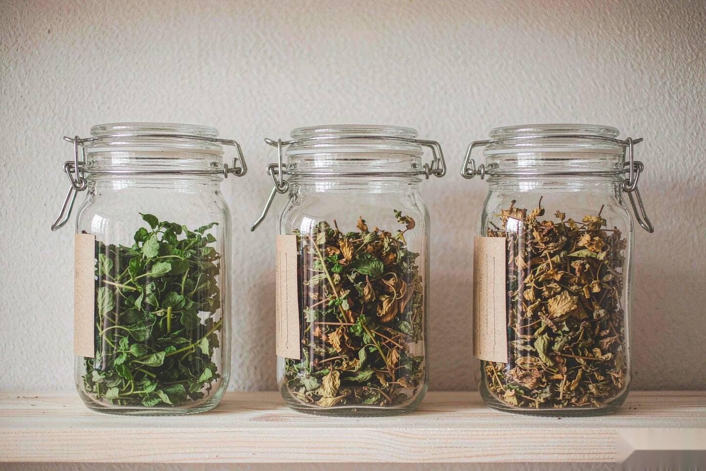 Glass jars of cannabis at different drying and curing stages